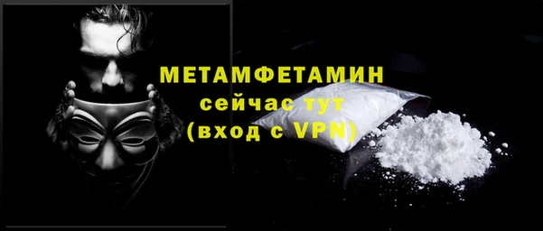 гидра Елабуга