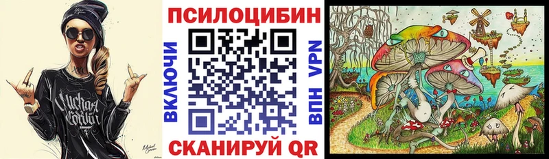 где купить   Балашиха  Галлюциногенные грибы MAGIC MUSHROOMS 